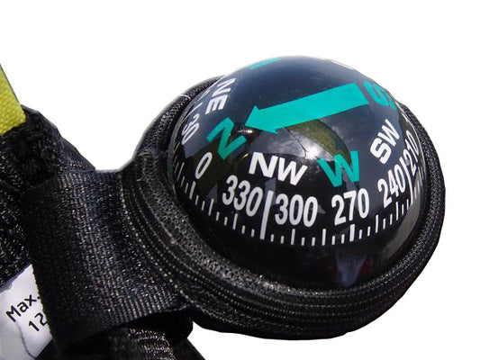 Backup Compass